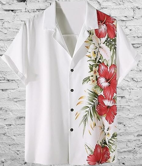 Half Sleeve Casual Shirt (1)